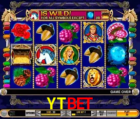 Descubra o Mundo do Cassino Online com YTBET